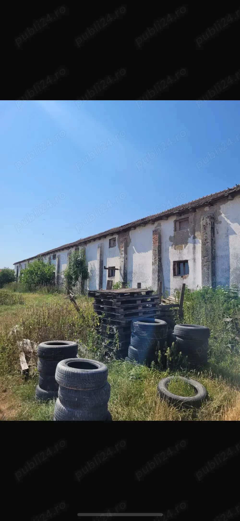 Vand hala 600 mp cu teren intravilan 9000 mp Vand hala 600 mp cu teren intravilan 9000 mp