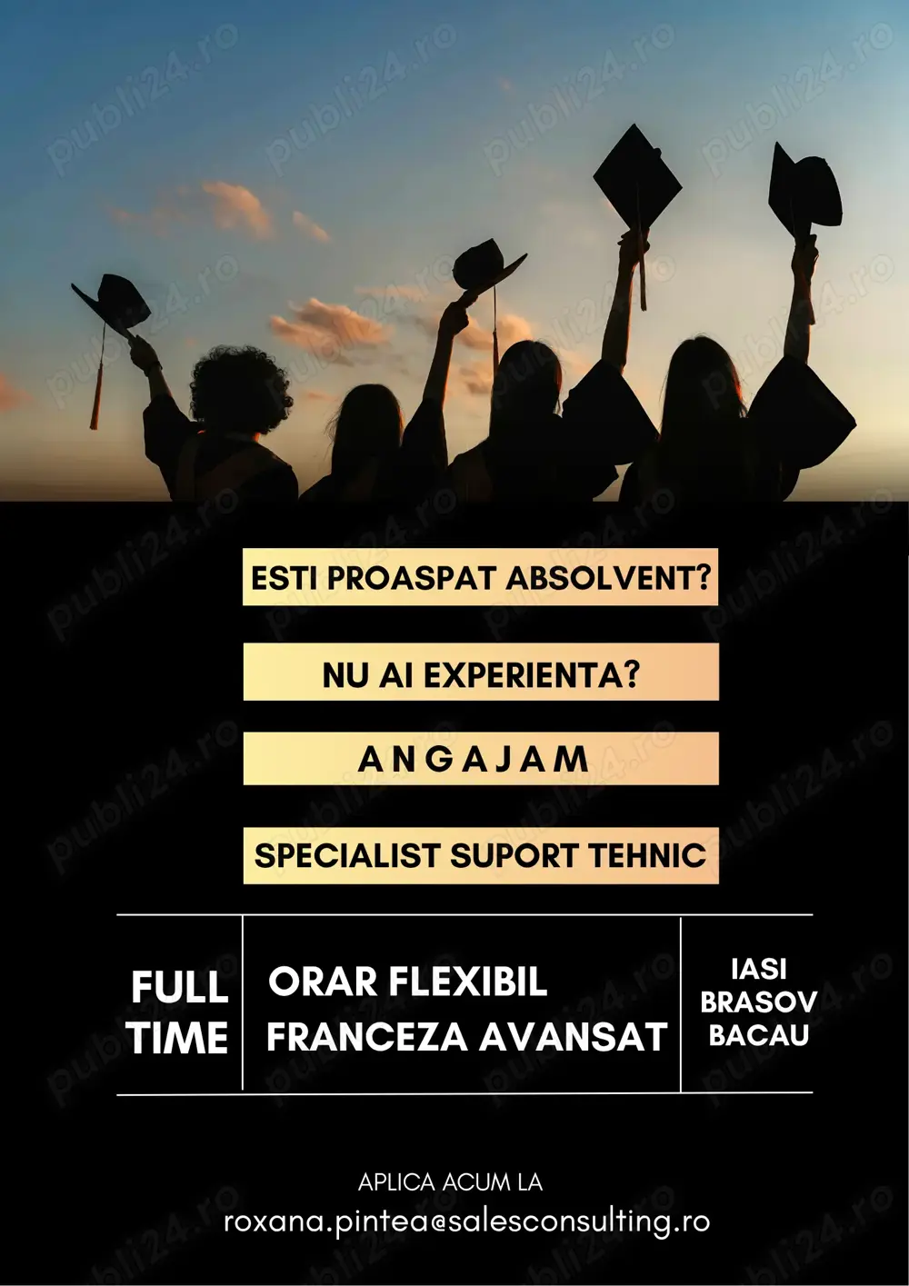 Specialist Support Tehnic cu limba franceza