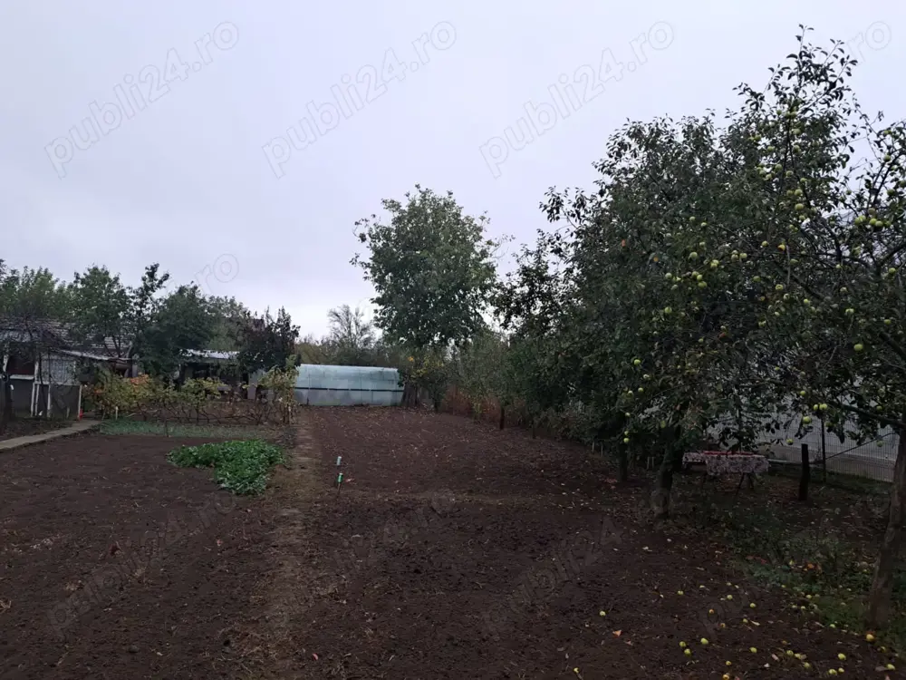 Teren de vânzare Periș 