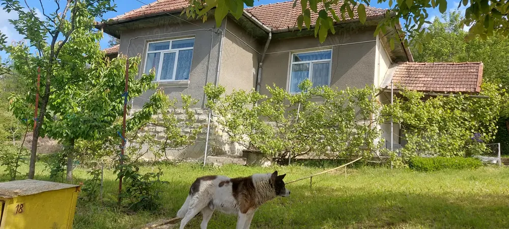 Casă de vânzare 100 m2 +teren 1200m2 toate utilitățile 