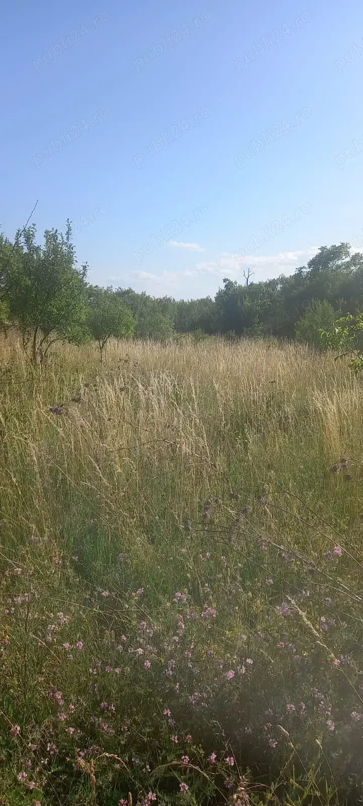 Teren intravilan de vanzare