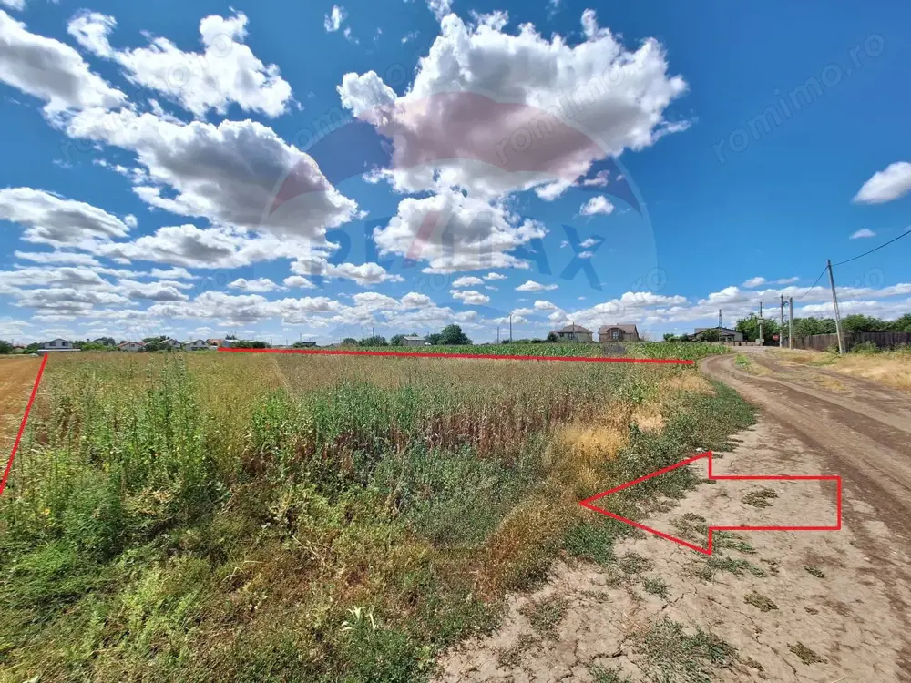 Teren Focsanei / DN sat Focsanei Vadu Pasii