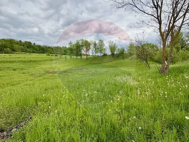 Teren 20,876mp Breb / Drumul Principal