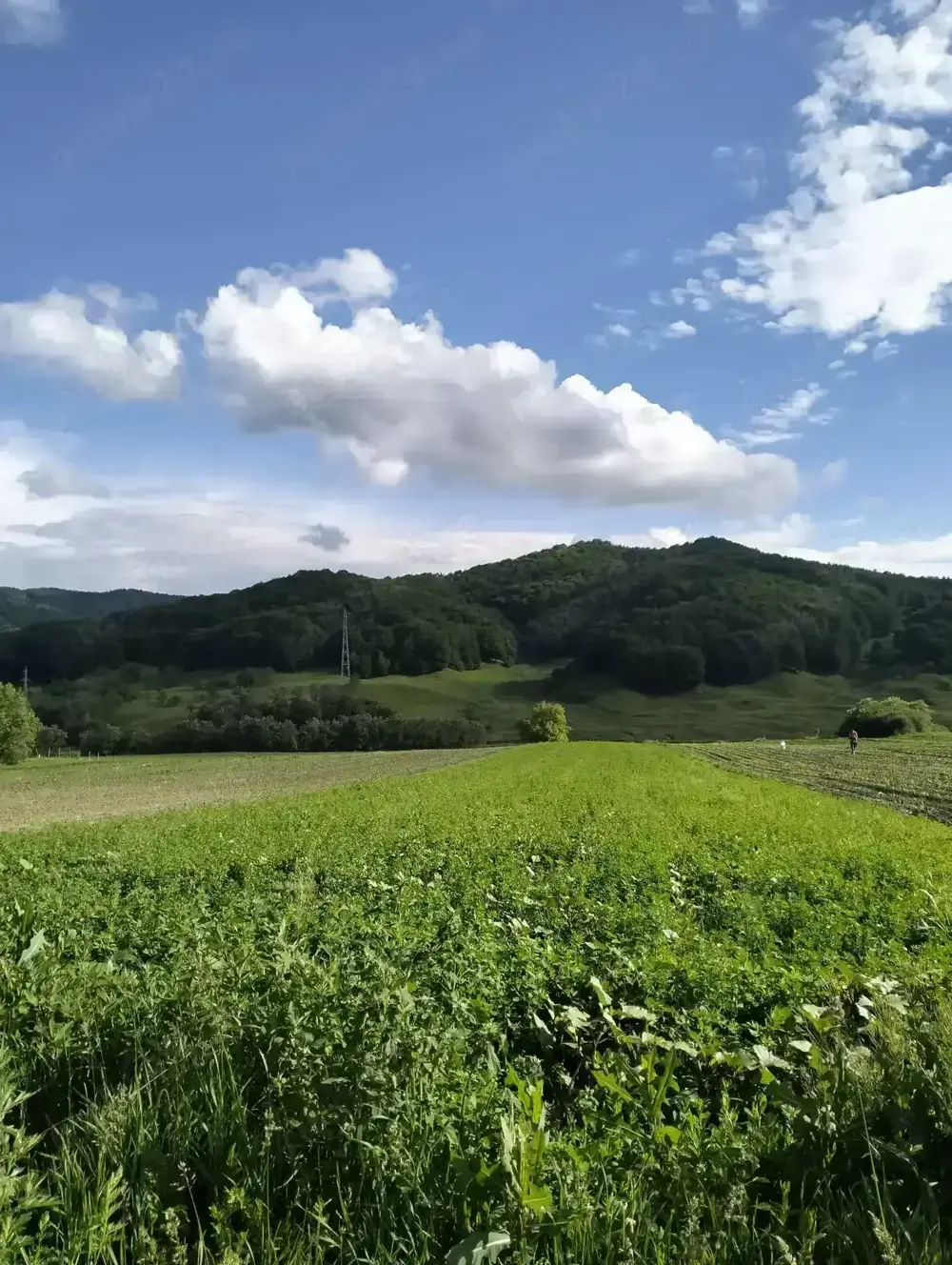 Vând teren intravilan  în satul Valea-Anei din comuna Starchiojd 