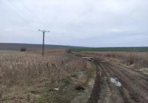 Teren extravilan cota parte 1/3, Rediu, ID: R2642185 Teren extravilan cota parte 1/3, Rediu, ID: R2642185