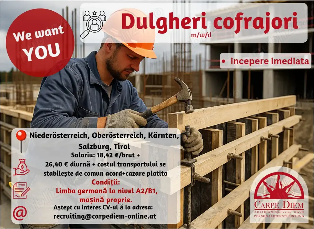 DULGHERI COFRAJORI cautati pentru proiecte in Austria