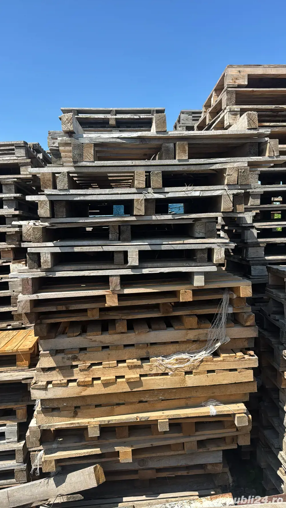 paleti lemn