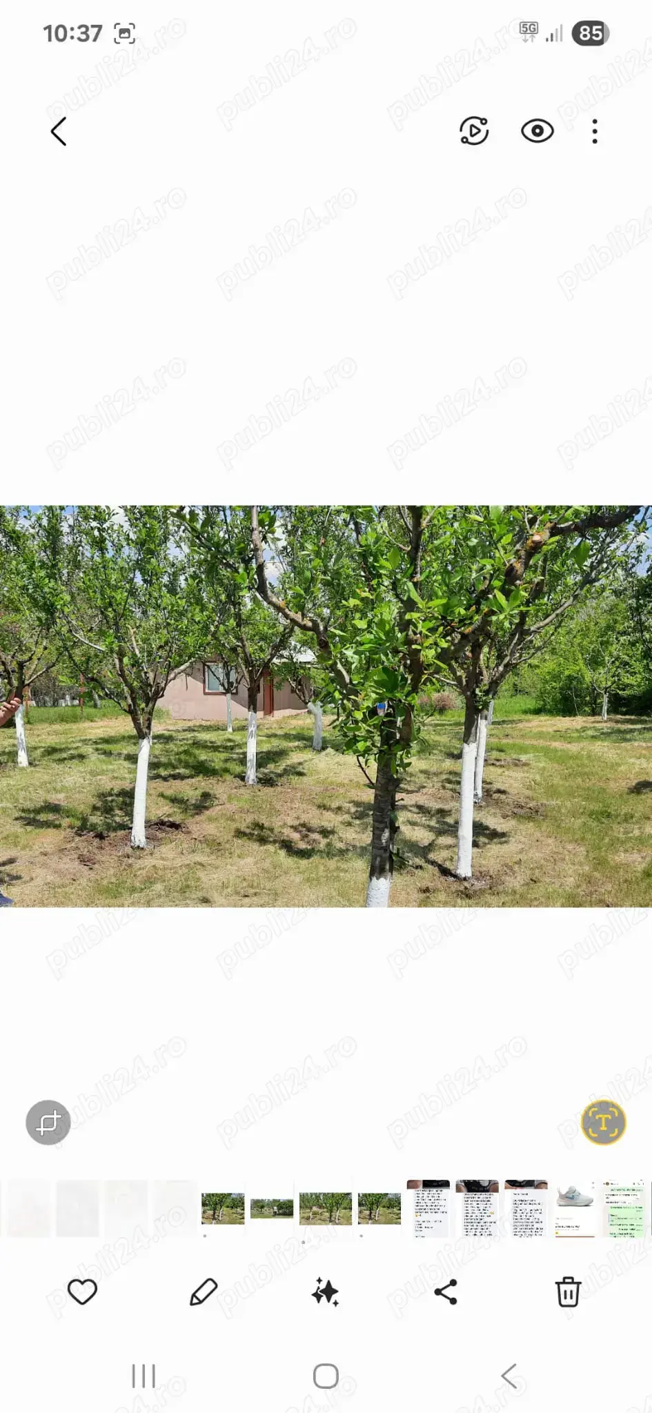 Teren de vânzare Valea Stanii, Comuna Luica