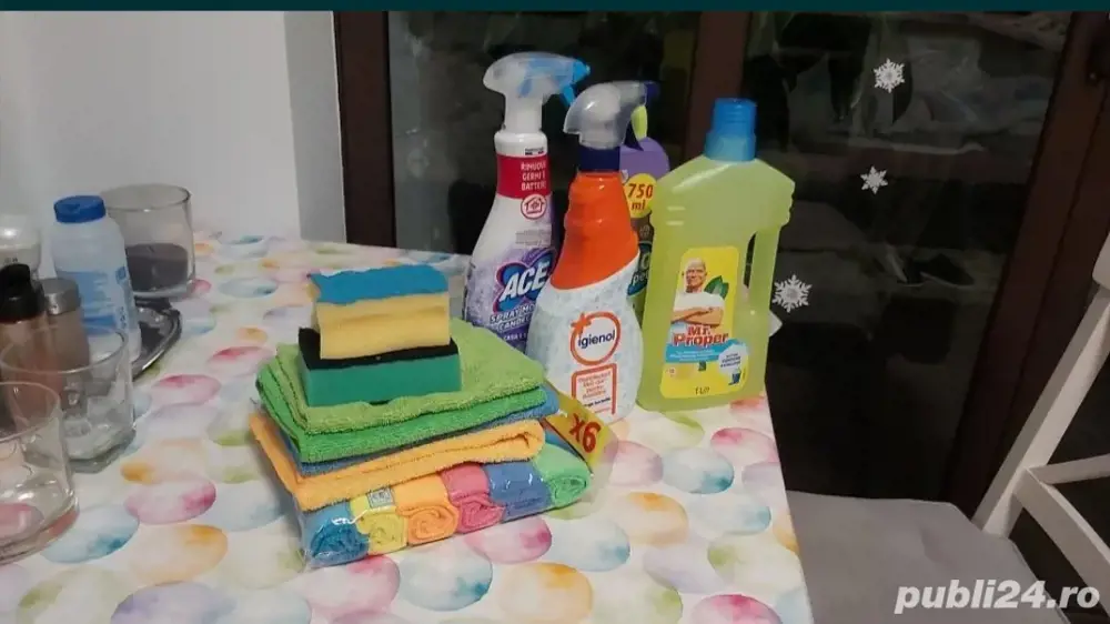 Curatenie la domiciliu