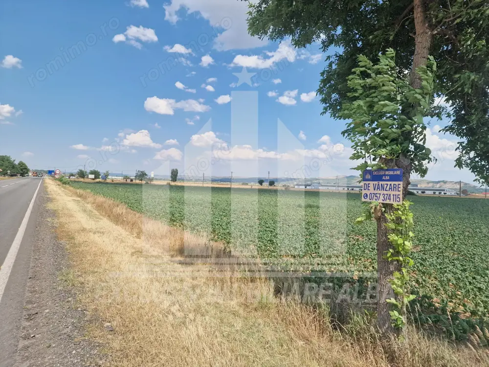 Teren agricol la sosea, pretabil si ptr constructii industriale Teren agricol la sosea, pretabil si ptr constructii industriale