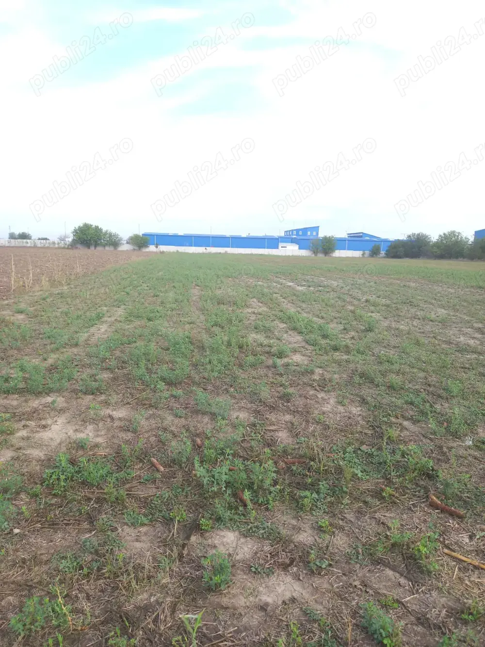 Teren de vanzare la 25 km de Bucuresti, zona verde ideal investitie