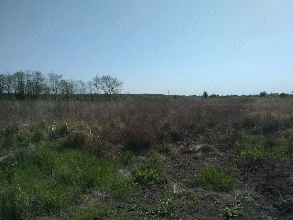 Teren constructie 1000mp Peris Gara. Pozitie deosebita langa padure si lac. Canalizare, apa curenta.