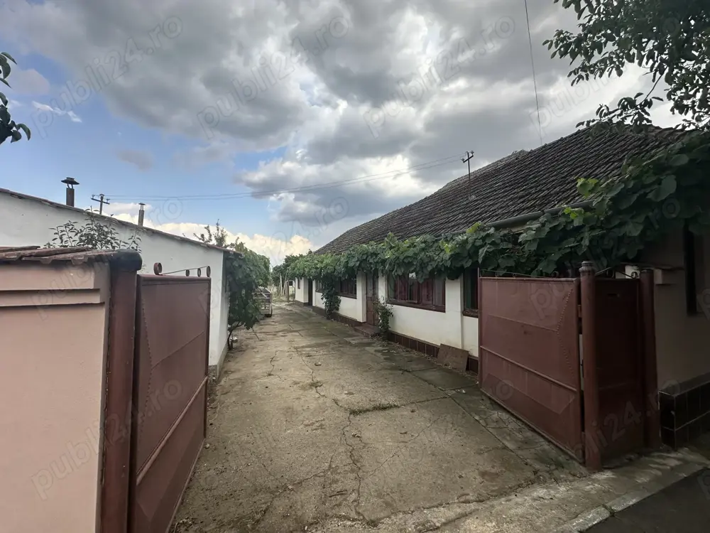 Casa de vanzare in loc. Zadareni jud. Arad Casa de vanzare in loc. Zadareni jud. Arad