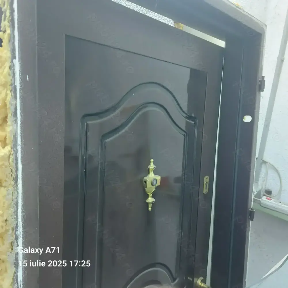 Usa metalica intrare