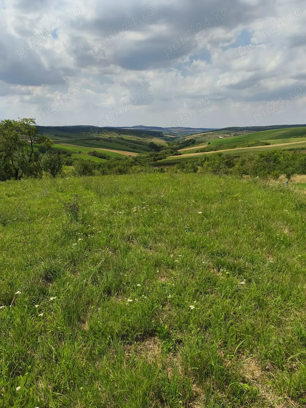 Vând teren intravilan, 3255 mp