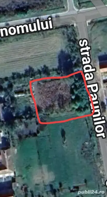 Vând teren intravilan in localitatea Bazoș 