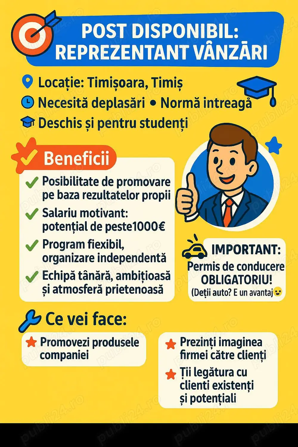 Agenti de vanzari categoria b