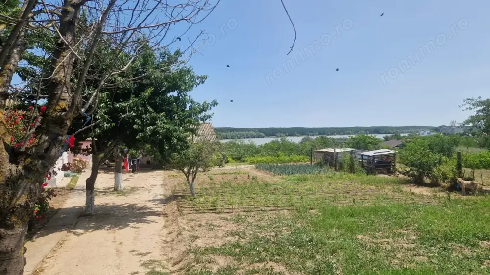  MAHMUDIA-TERENURI SI CASE