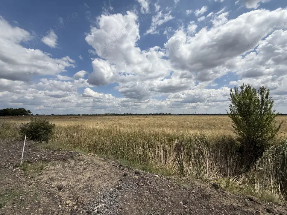 Teren Intravilan 976 mp, regim S+P+2E, utilat -  Torontalului