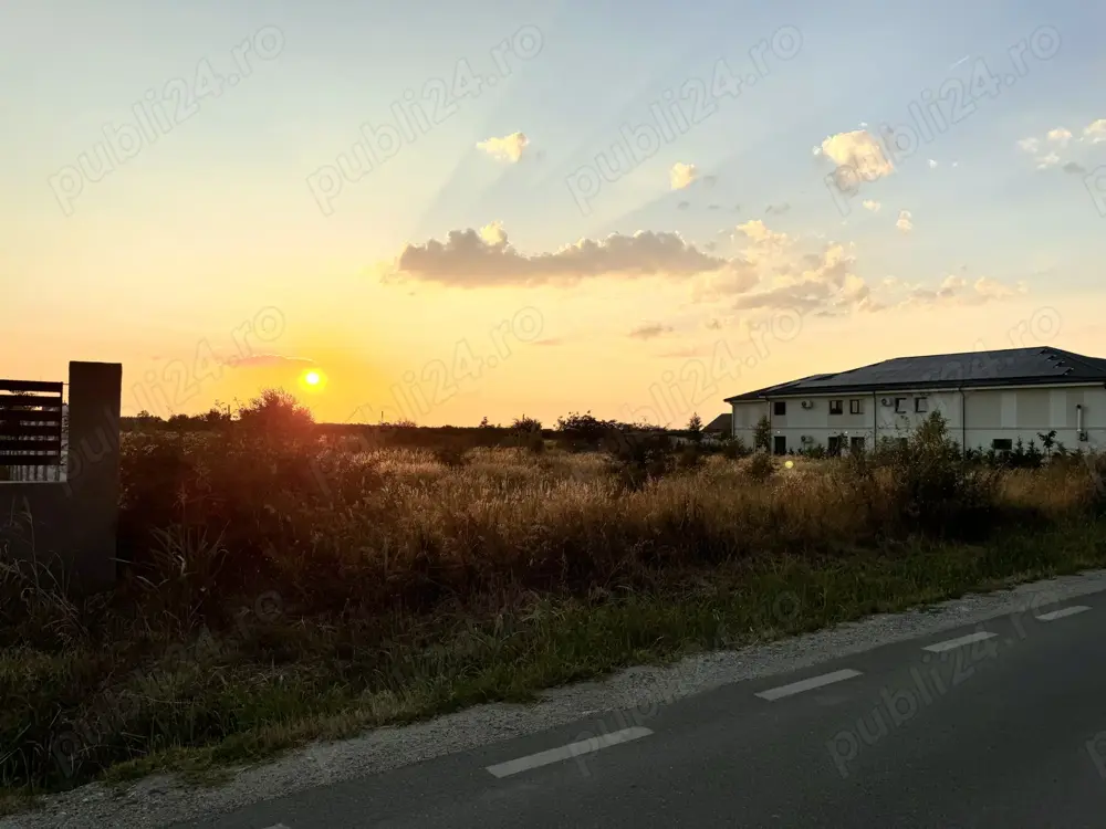 Teren intravilan 5000 mp, str. Aeroportului, Cârcea   52 m deschidere
