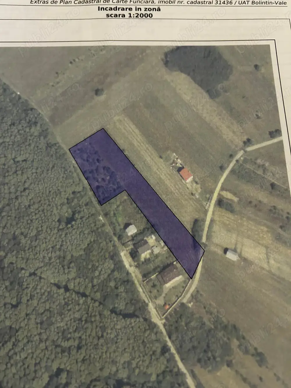 Teren intravilan parcelat Suseni, jud Giurgiu - 7500 m2
