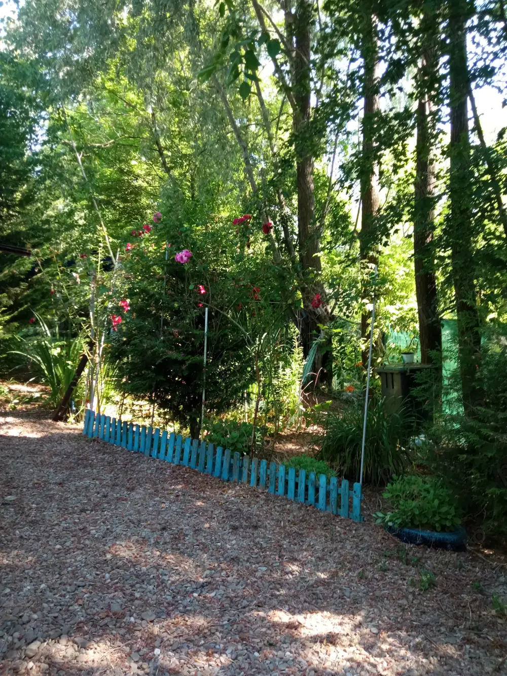 Teren Varbilau (Slanic) Prahova impadurit superb si casuta lemn -VARIANTE Auto Diverse Accept Crypto