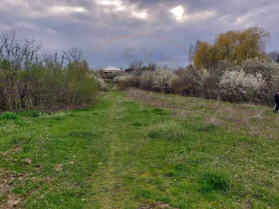 Teren Topoloveni - 3670 mp - langa padure, aproape de Centrul orasului 