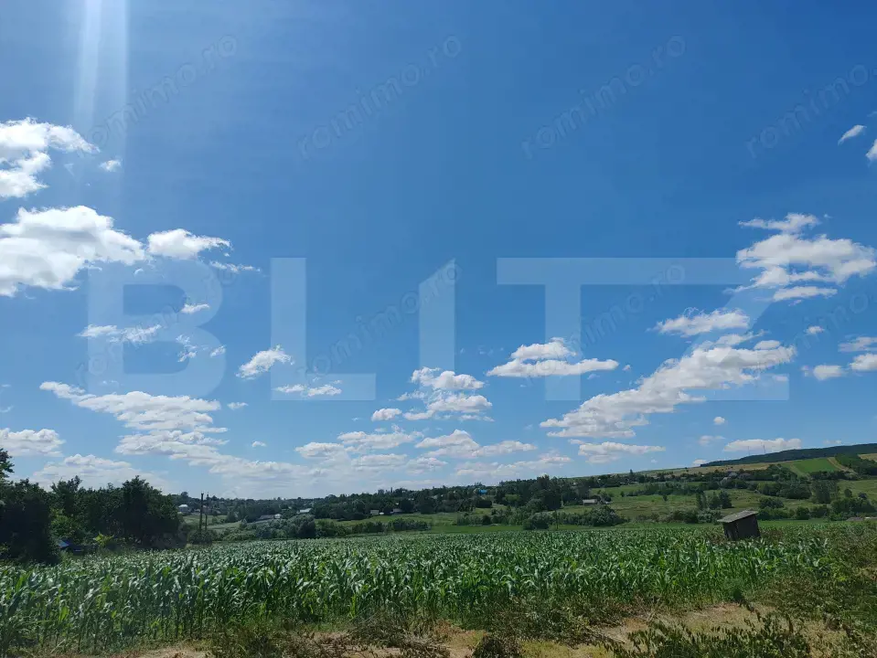 Teren 9600 mp si casa batraneasca demolabila, Dealu