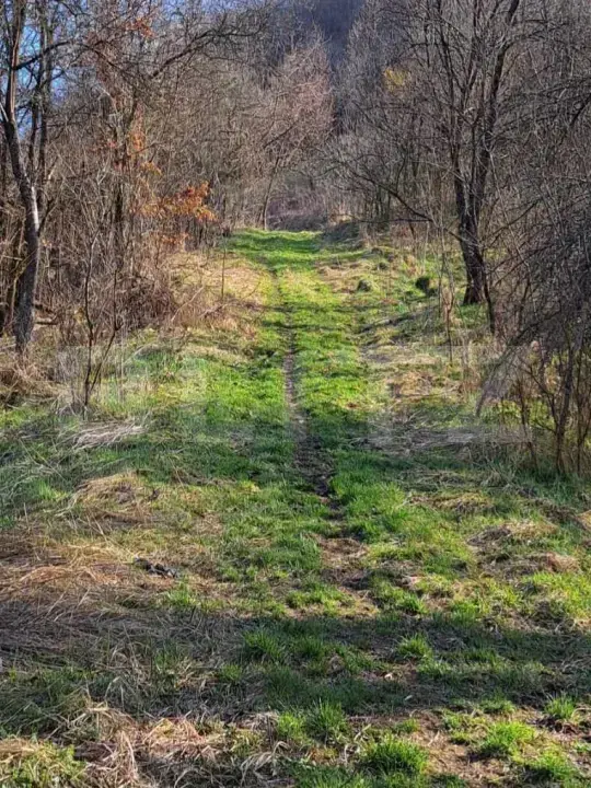 Casa cu o camera, 60 mp, in apropiere de Brad