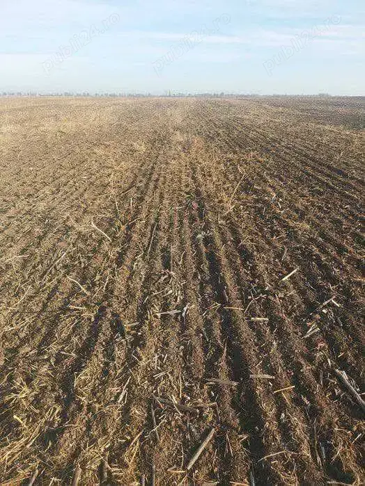 Vând teren agricol în Com.Urzicuța, jud.Dolj 2,850ha
