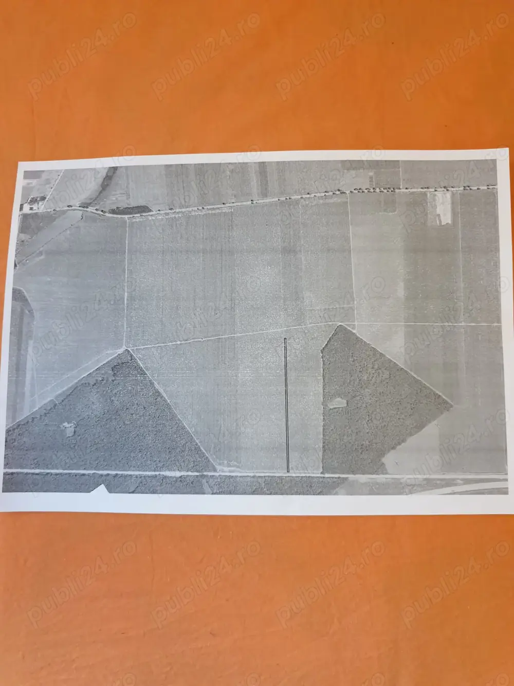 Vind teren Belciugatele   ( DN3 )  - 3 euro negociabil