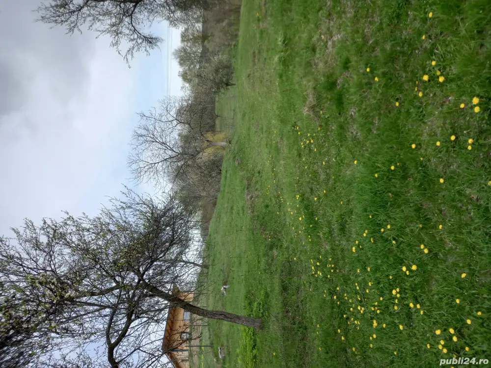 Teren intravilan de vanzare capțanenii-pamantenii