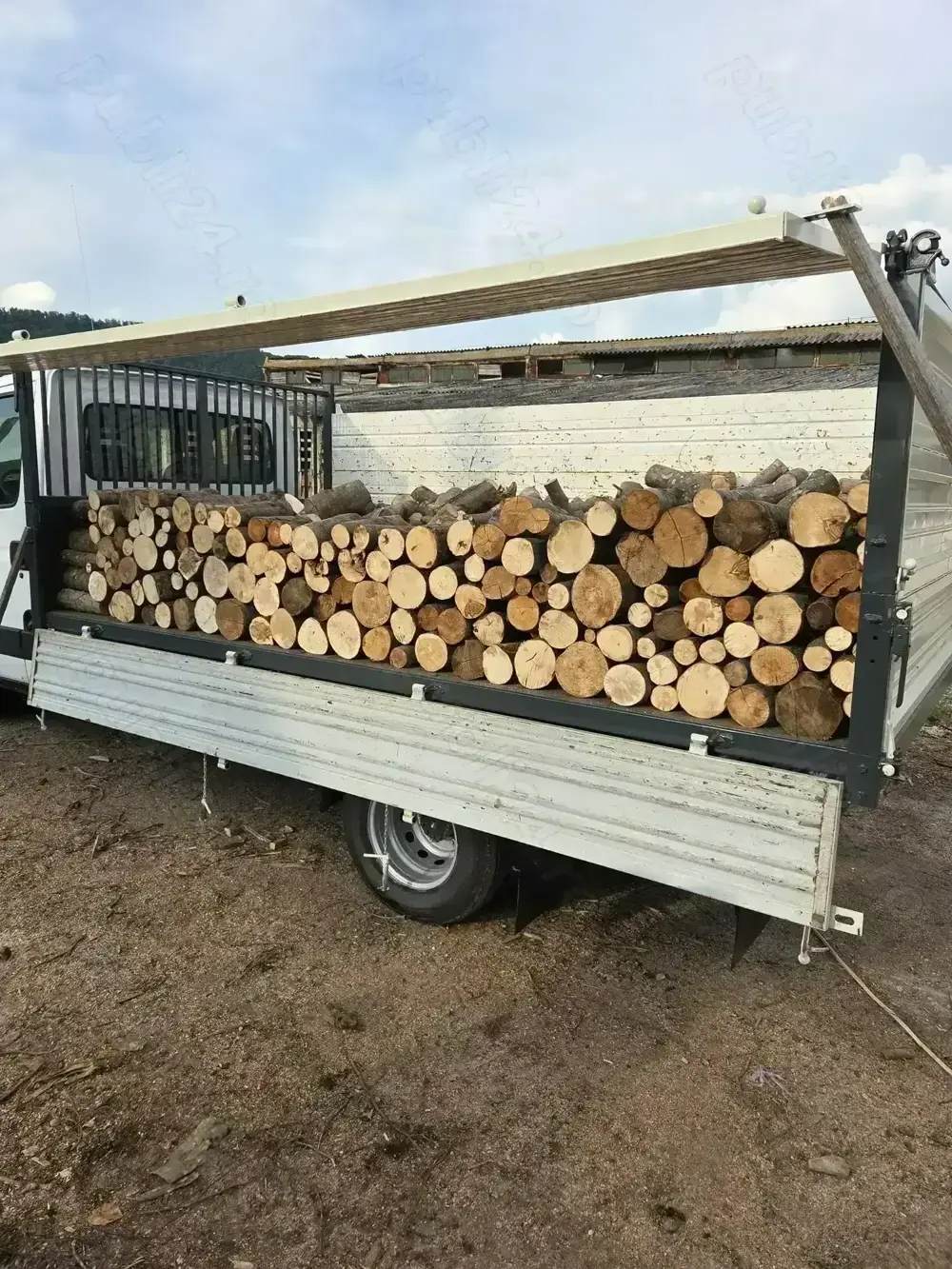 Lemn de foc fag-carpen, tăiat și crăpat, livrare inclusă