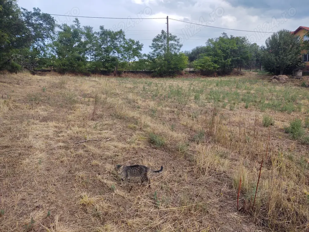 Teren intravilan Loc de Casa 3225 mp, în Șiria, județul Arad