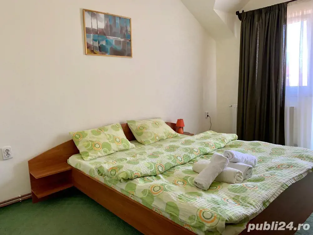 Vand pensiune in functiune in Tasnad