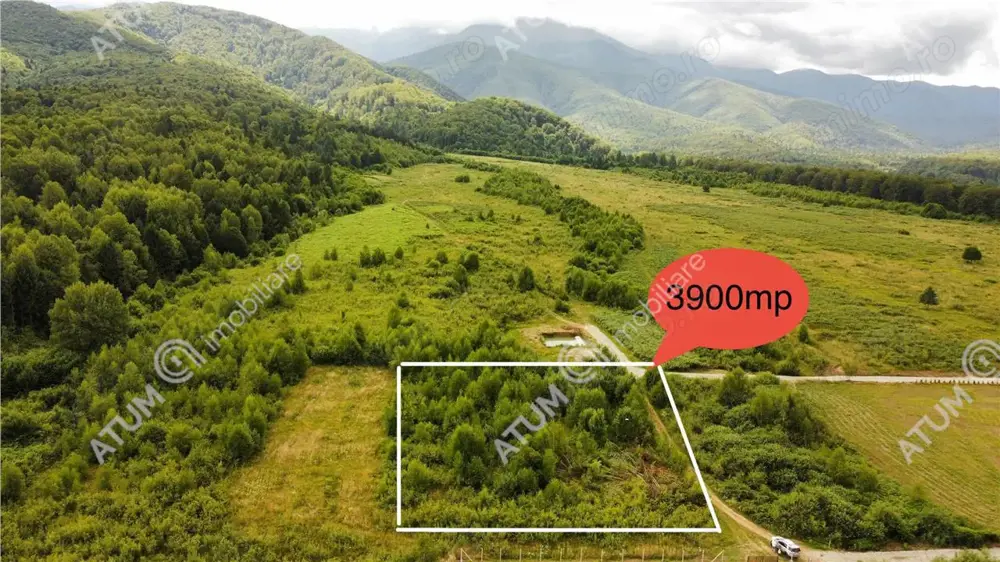 Teren intravilan 3900 mp Porumbacu de Sus, Sibiu