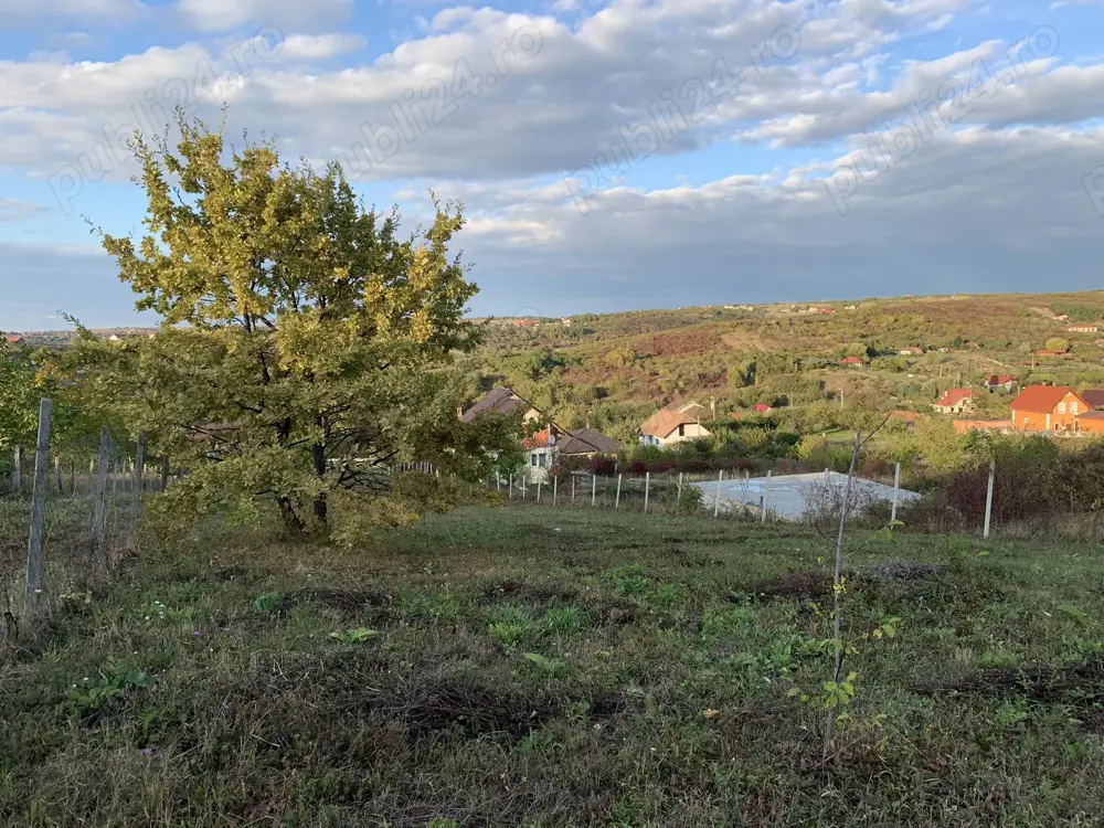 Ichiriez Teren ingradit cu apa si canalizare Oradea, str. Sofiei