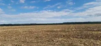 Teren extravilan Branesti, ID: R2649181