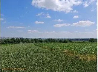 Teren extravilan Bosanci, ID: R2649419 Teren extravilan Bosanci, ID: R2649419