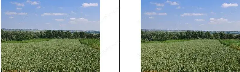 Teren extravilan Bosanci, ID: R2649420 Teren extravilan Bosanci, ID: R2649420