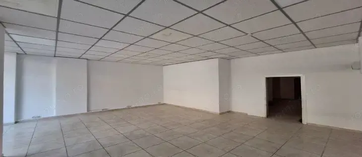 Iuliu Manu sp 91 mp trafic intens