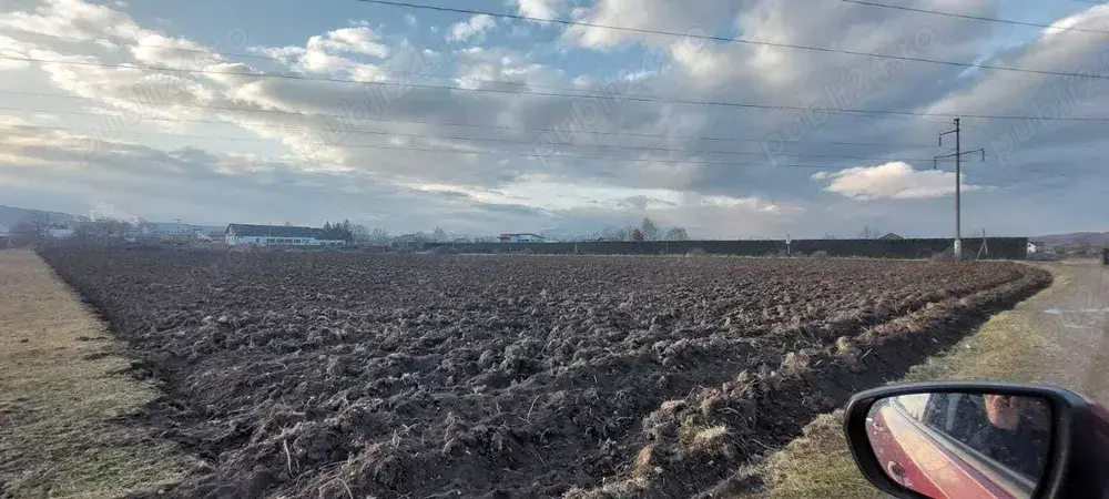 Teren Petresti 5020 mp