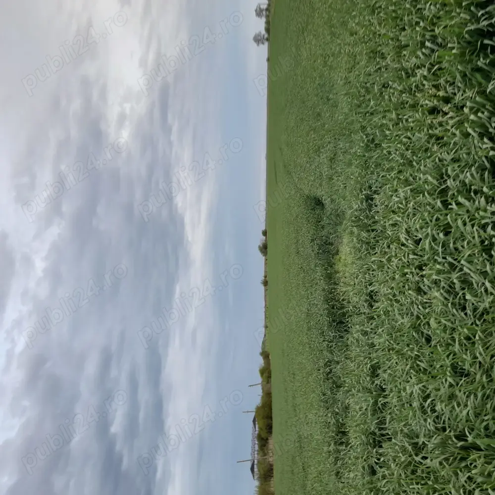 De vînzare in Jud Teleorman,fosta ferma și casă,Acte la zi , intabulare 2023!!