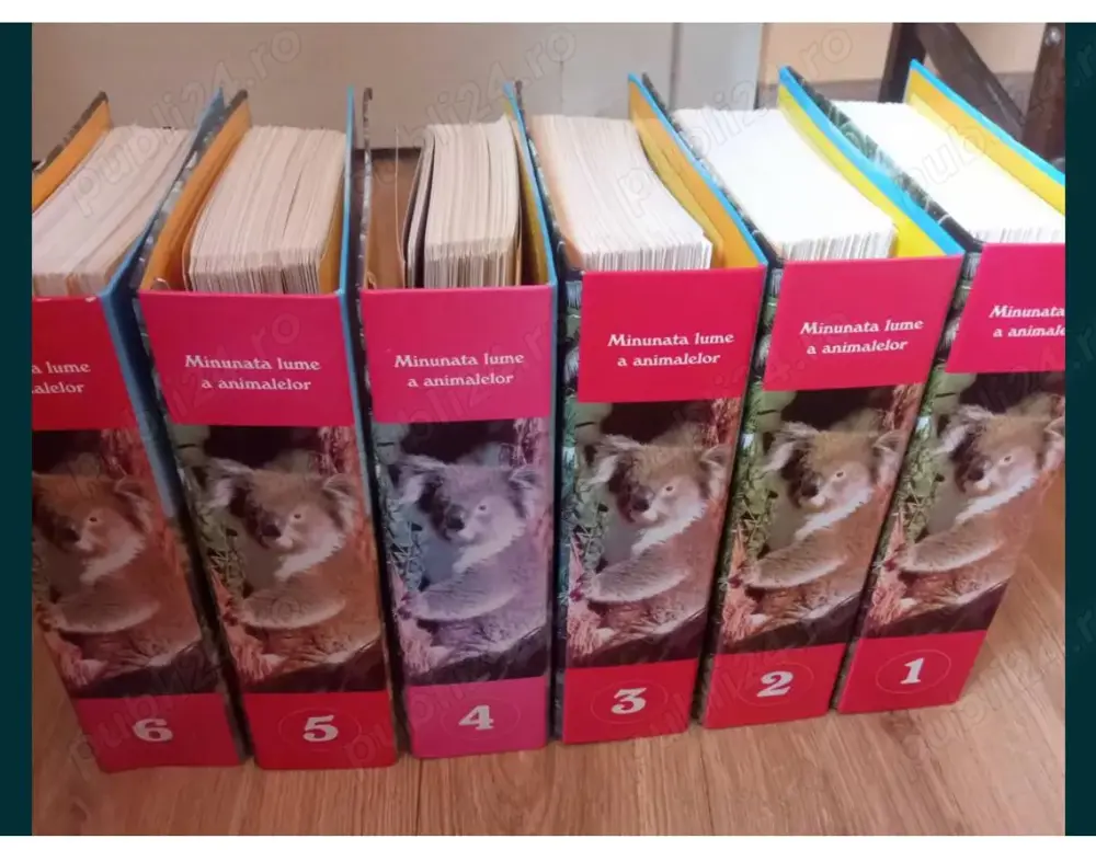 Glosare cu snimale Glosare cu snimale