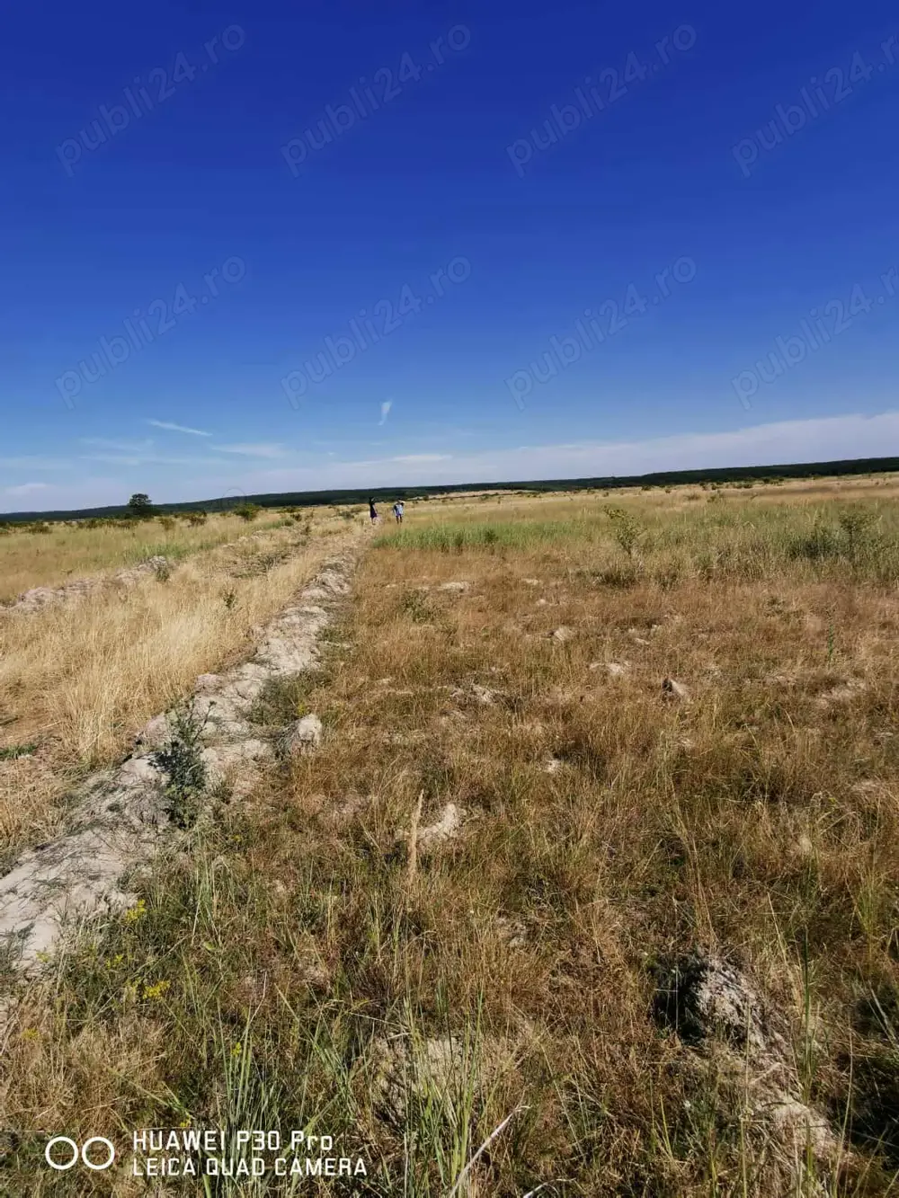 Teren construibil de vanzare in Pausa 1000m2