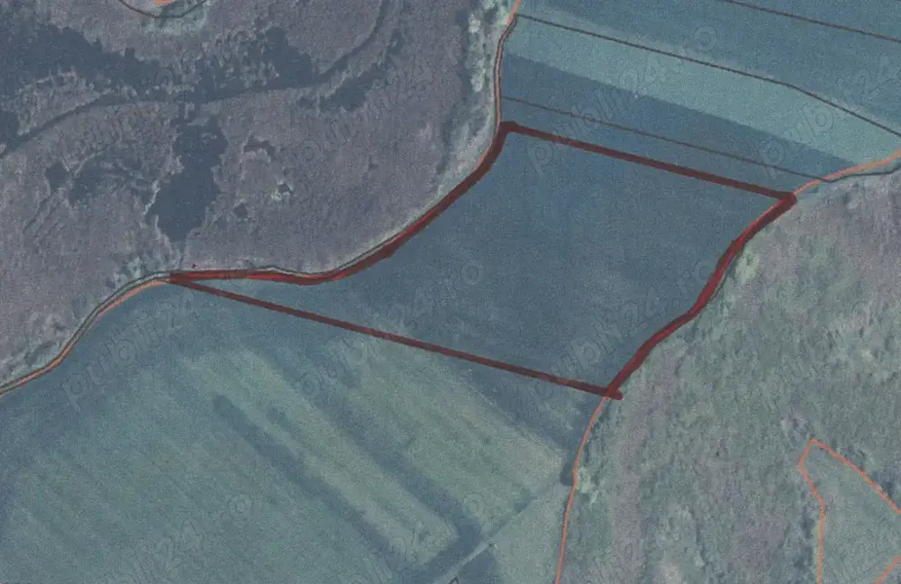 Teren agricol (4.65 ha) in comuna Satchinez (jud.Timis)