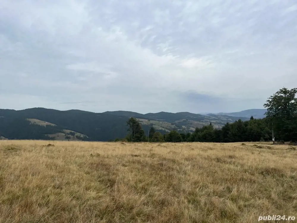 Vând teren 6ha jumate și casa bătrânească locuibilă. Apa, curent și drum de acces de țară.