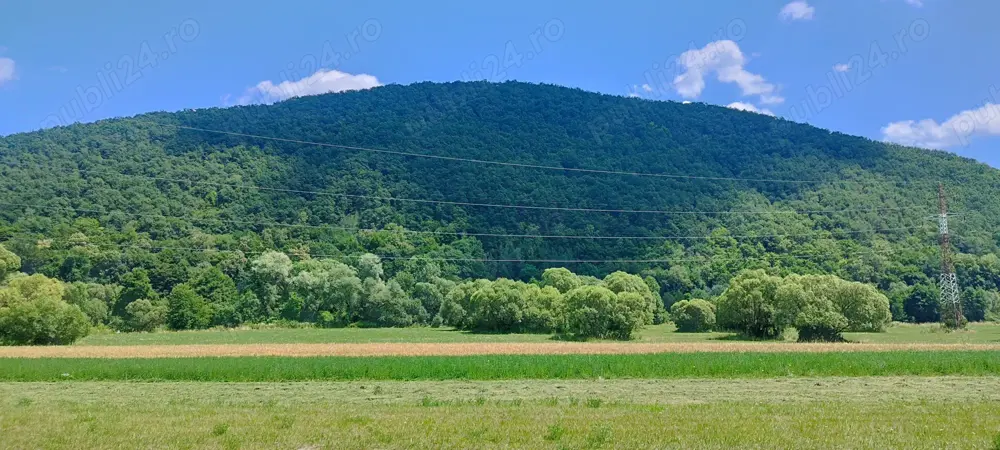 Teren forestier unic cu traseu de drumeție către Cetatea Herecz   77.000 m  în Malnaș, județul Covas