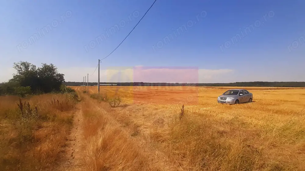 Teren pentru casă/case în Brănești pe strada Toporași