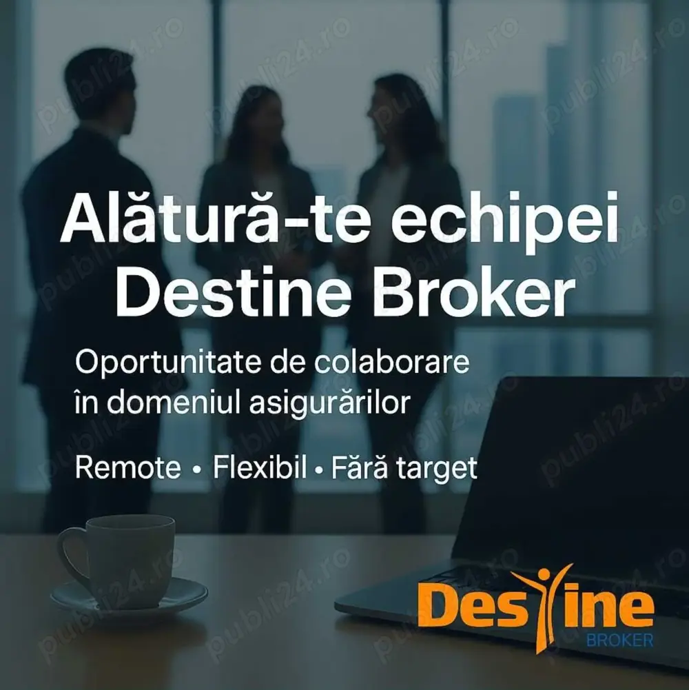 Colaboratori în domeniul asigurărilor   Colaborare Remote